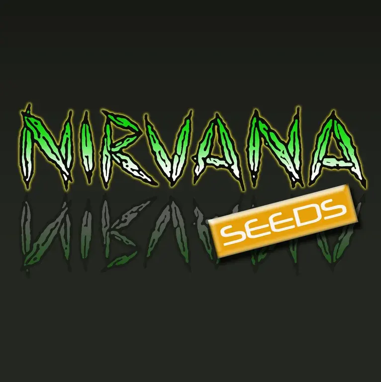 Nirvana