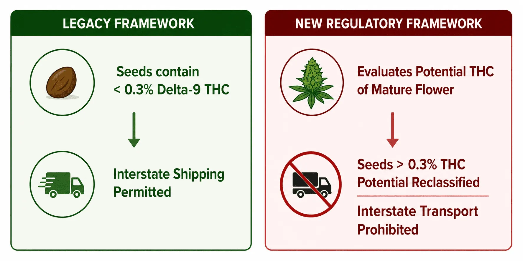 How the Redefined Hemp Ban Impacts Genetics