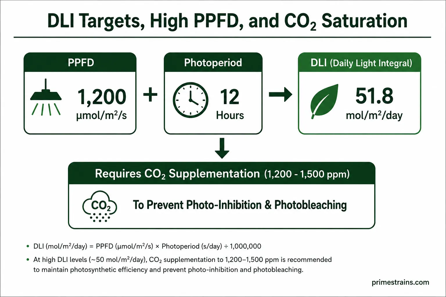 DLI Targets, High PPFD, and CO2 Saturation