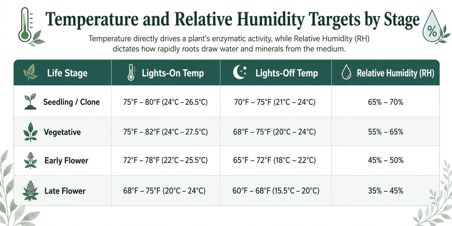 Temperature and Relative Humidity