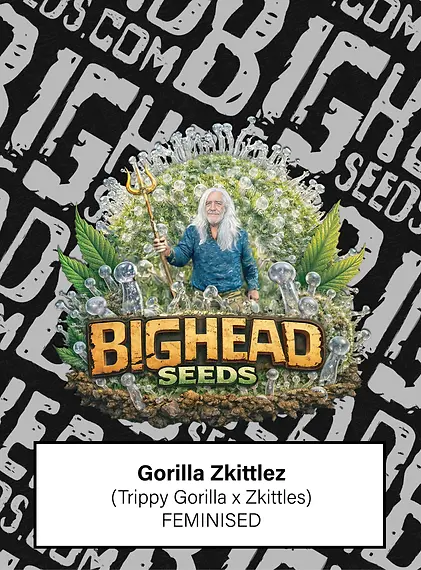 GORILLA ZKITTELZ