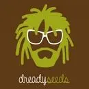 Dready Seeds