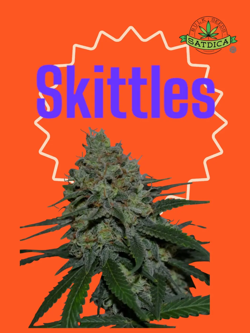 Skittlez