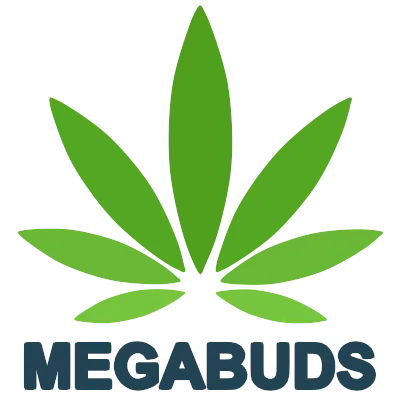 Mega Buds