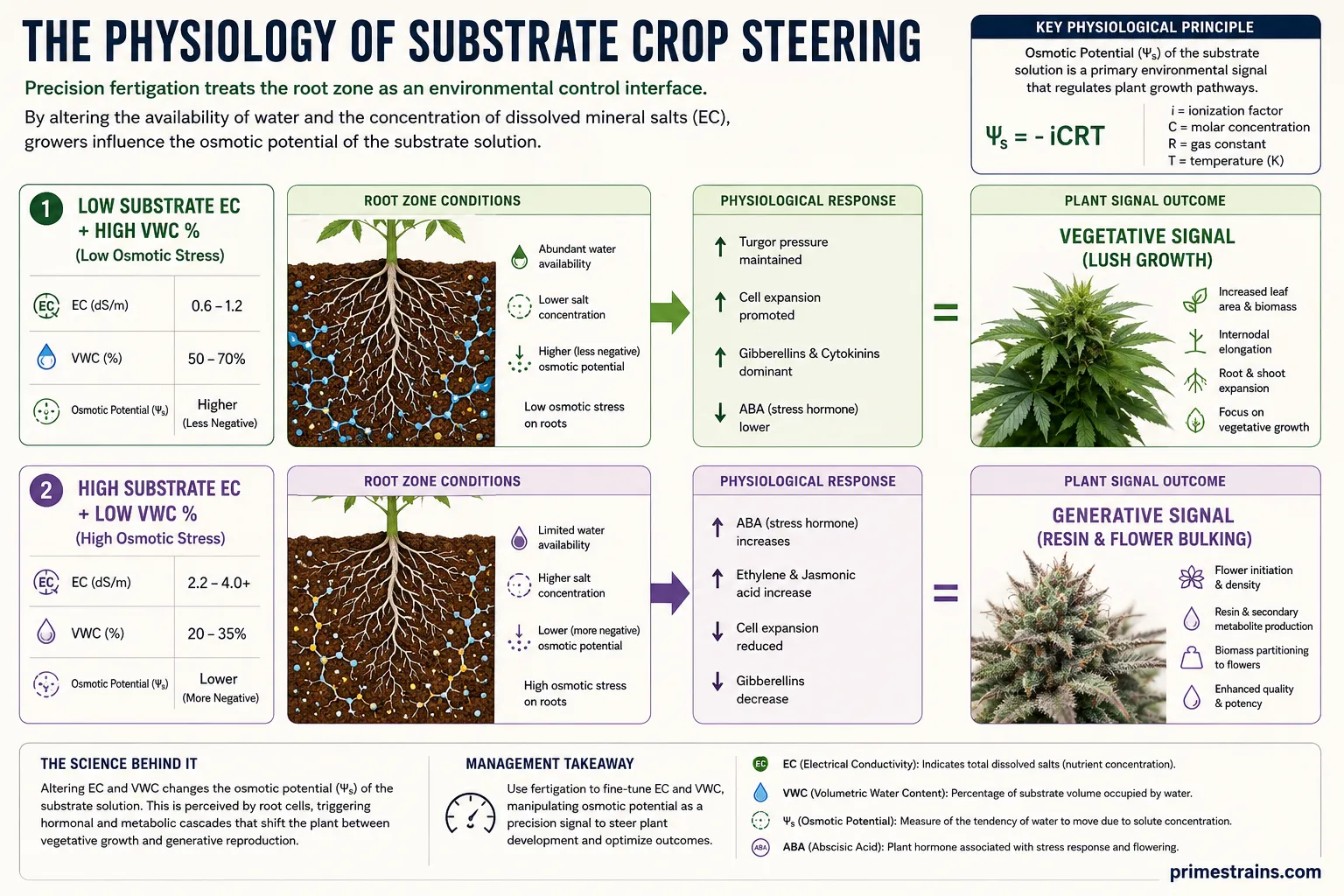 The Physiology of Substrate Crop Steering