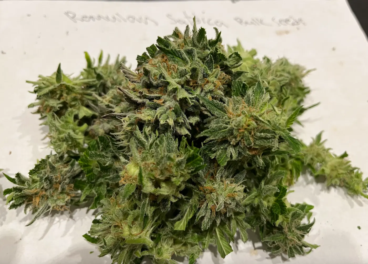 Romulan