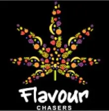 Flavour Chasers Seeds
