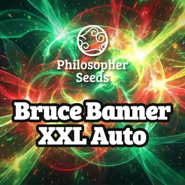 Bruce Banner XXL