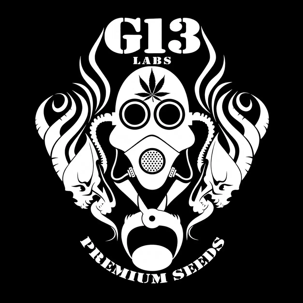 G13 Labs