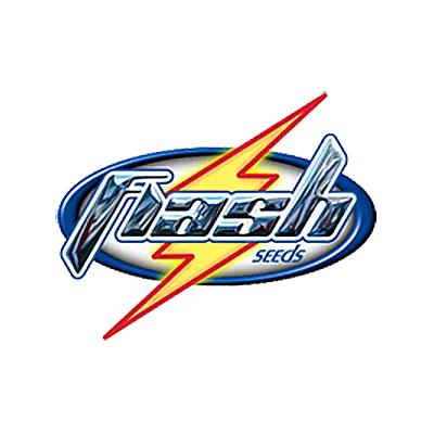 Flash Seeds