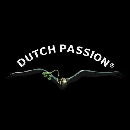 Dutch Passion
