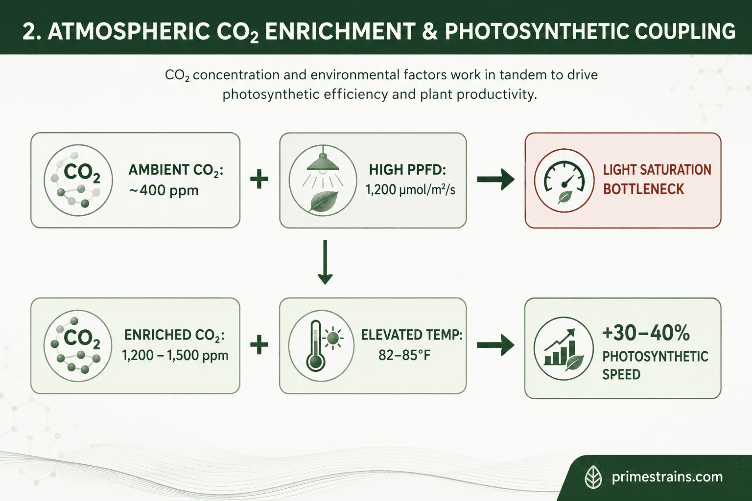 Atmospheric CO2 Enrichment & Photosynthetic Coupling