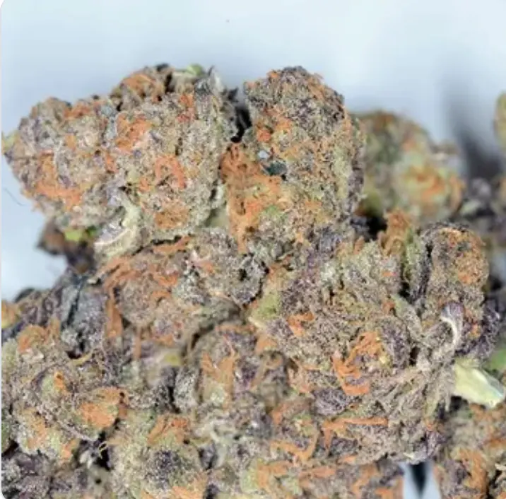 Sour Apple