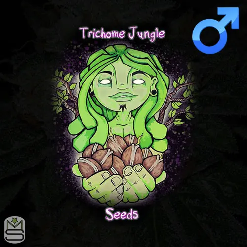 Trichome Jungle Seeds