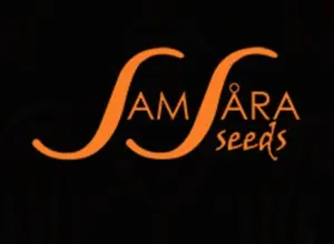 Samsara Seeds