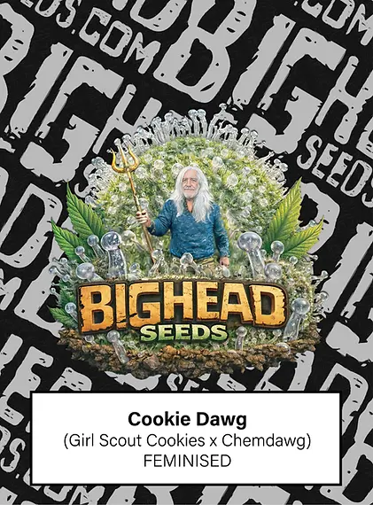 Cookie Dawg