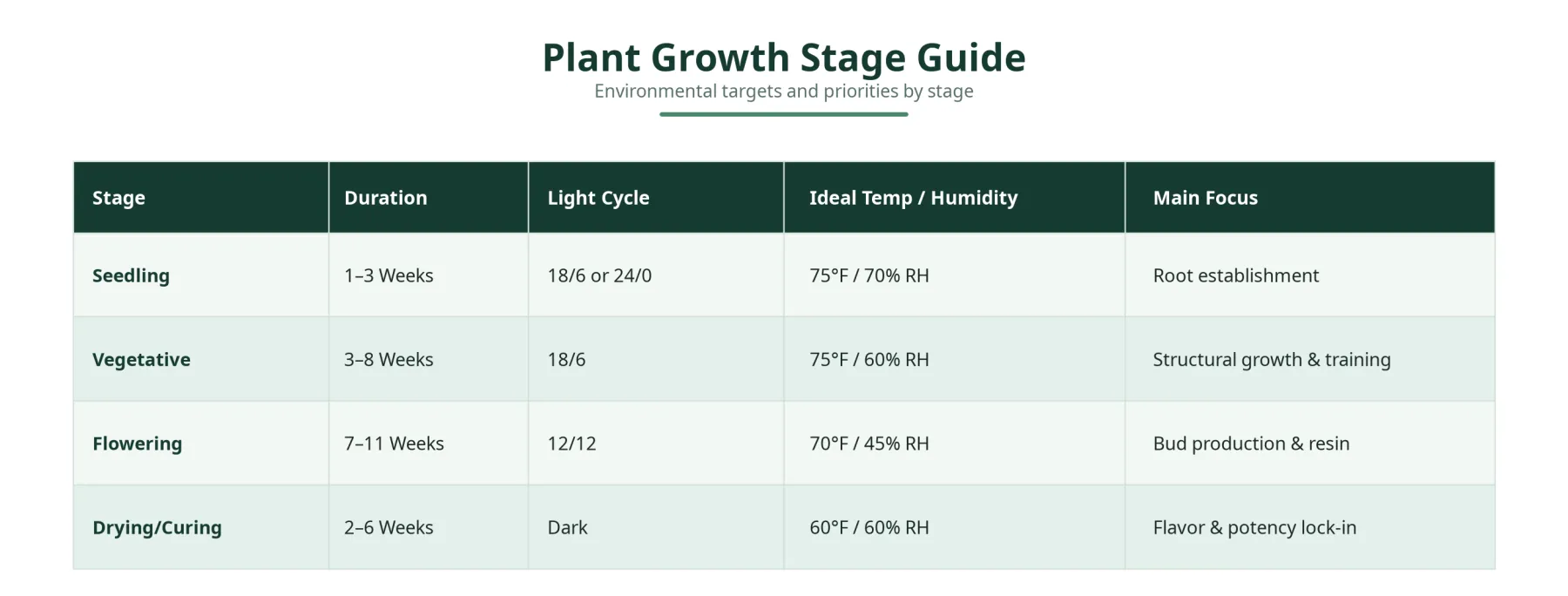 Cannabis Growth Stage Guide: a simple reference chart covering seedling, vegetative, flowering, and drying/curing timelines, light cycles, temperature, humidity, and key cultivation priorities.