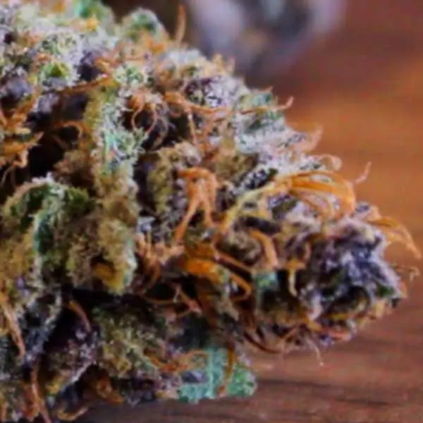 Granddaddy Purple