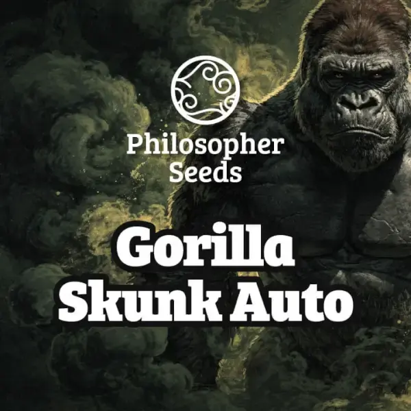 Gorilla Skunk