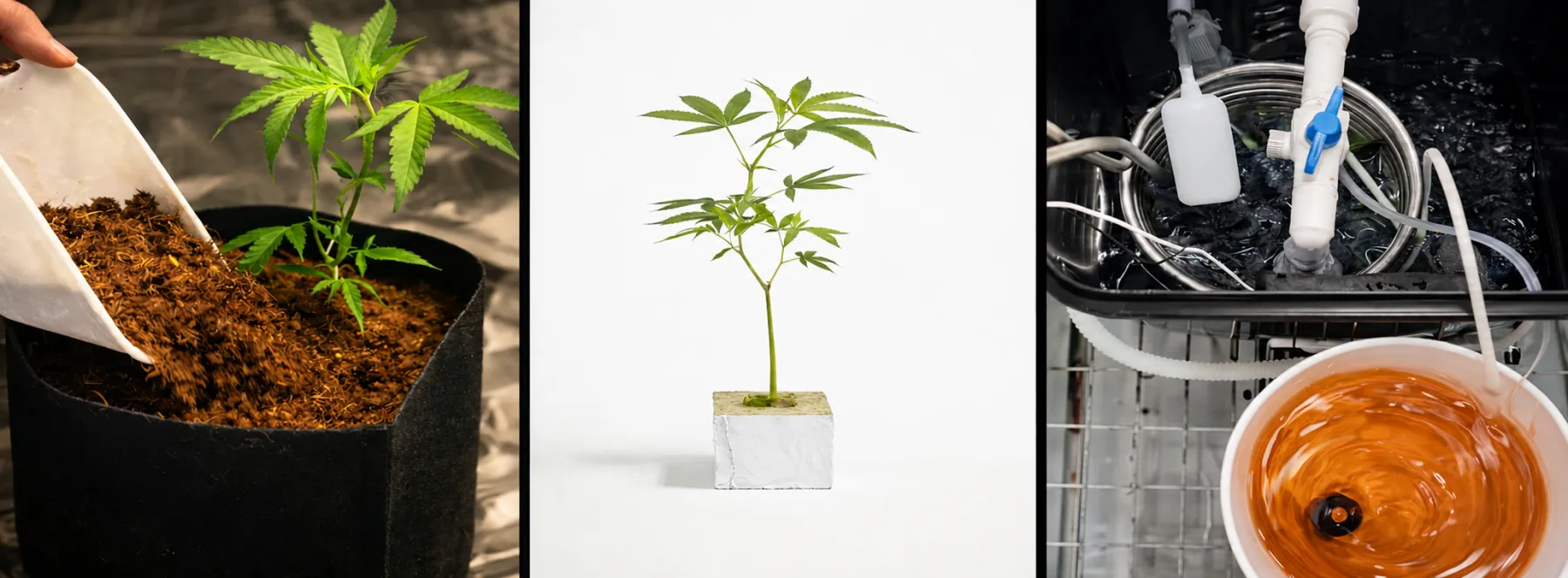Your growing medium has a major impact on root health, nutrient delivery, and overall plant performance. Each medium offers a different balance of control, maintenance, and growing style. Choose the setup that best matches your experience and how hands-on