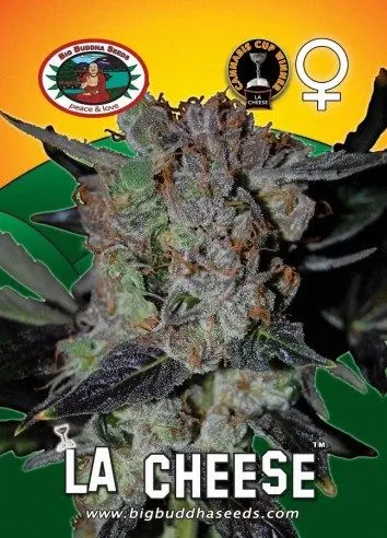 LA Cheese
