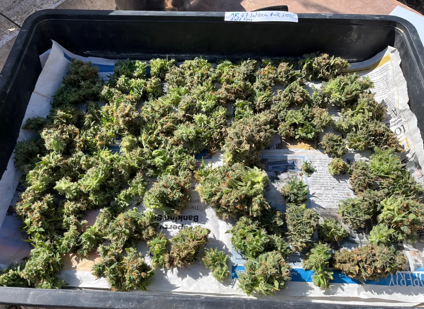 AK47