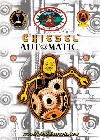 Chiesel Automatic