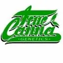 True Canna Genetics
