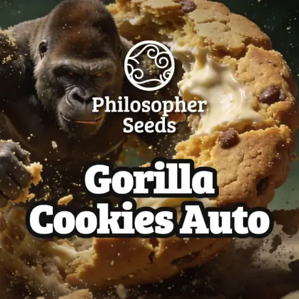 Gorilla Cookies